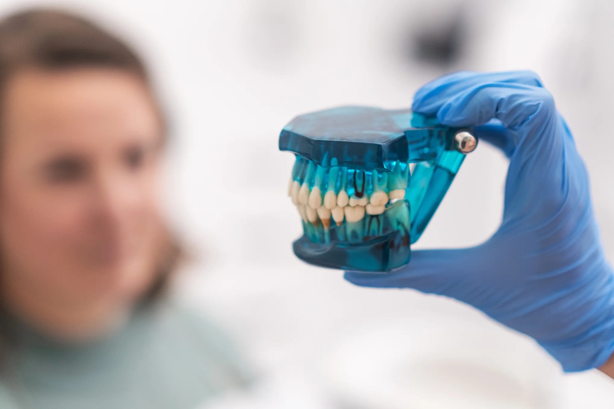 dentist-and-patient-discussing-treatment-plan A gloved hand holds a blue dental model showing teeth, with a patient sitting blurred in the background at a dental Grande Prairie clinic.